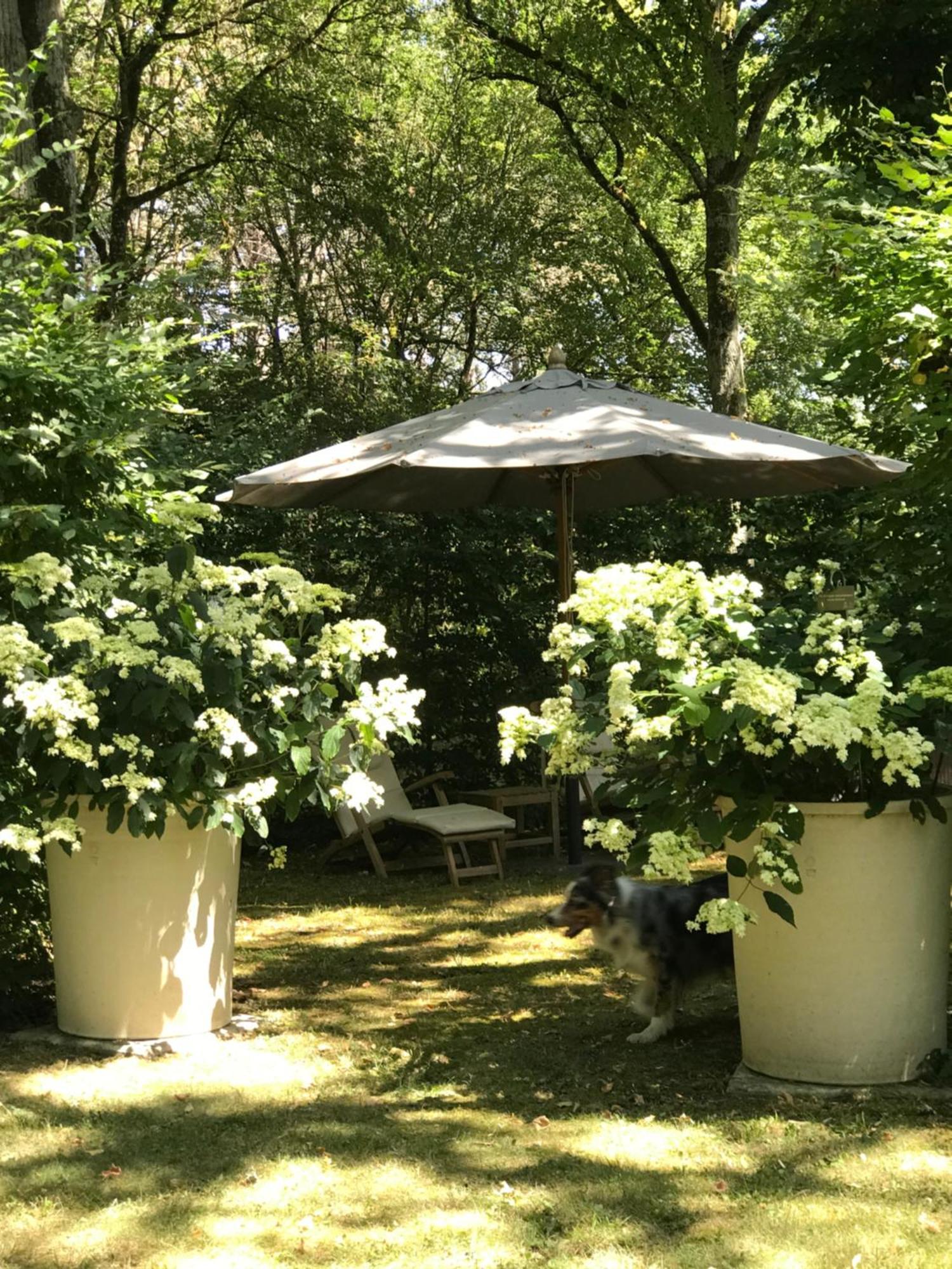 Domaine De Poulaines Pres Valencay Val De Loire Berry Villa Cameră foto